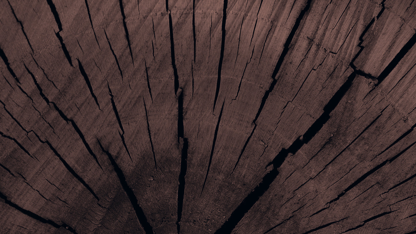 Palo Santo Candle image 0