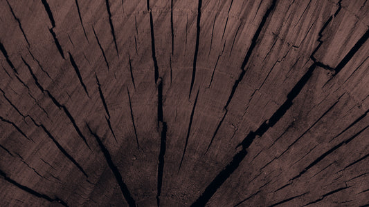 Palo Santo Candle image 0