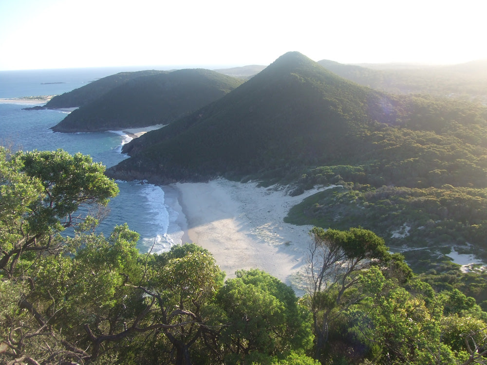 Dragons Den Candle image 0